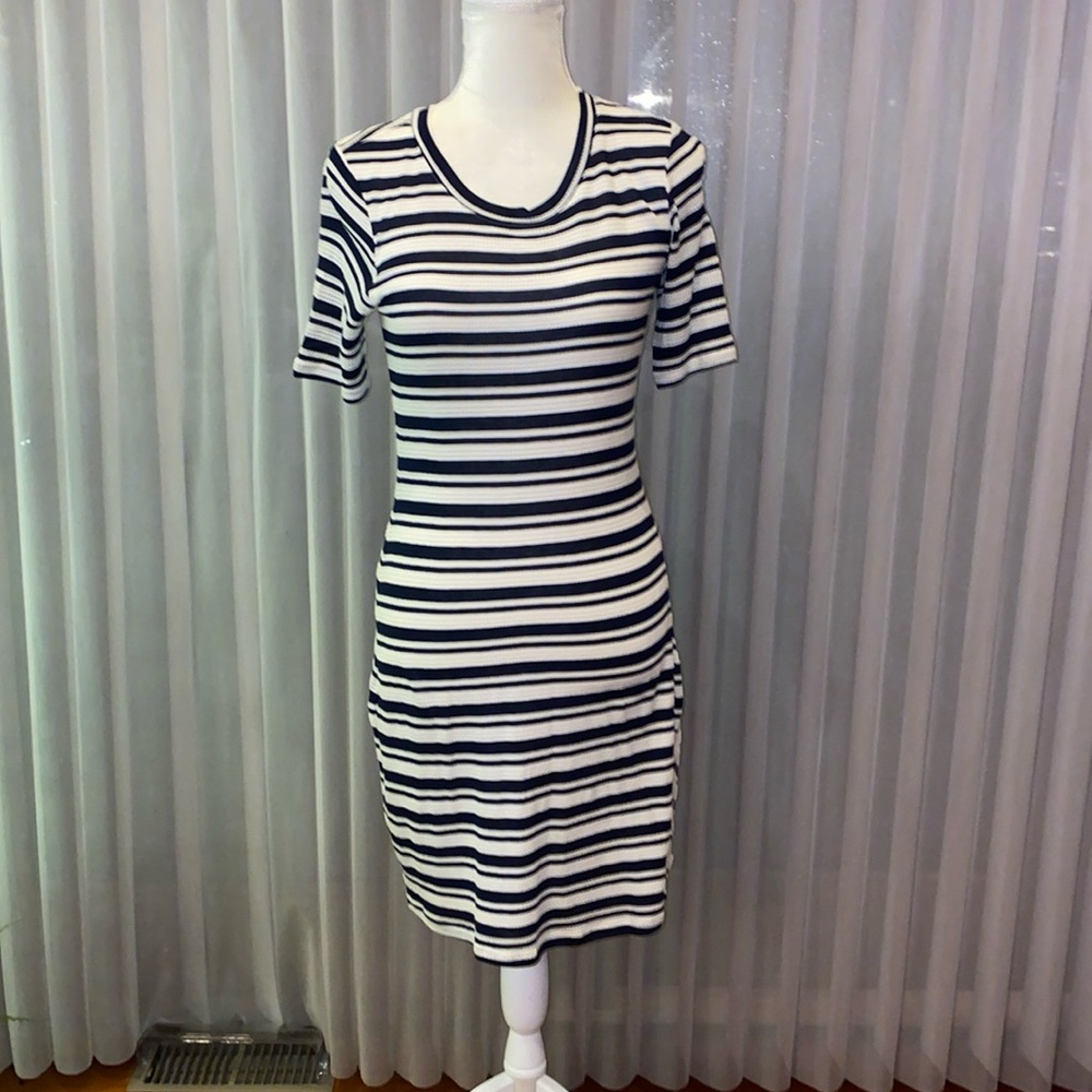 NWT Splendid Dress